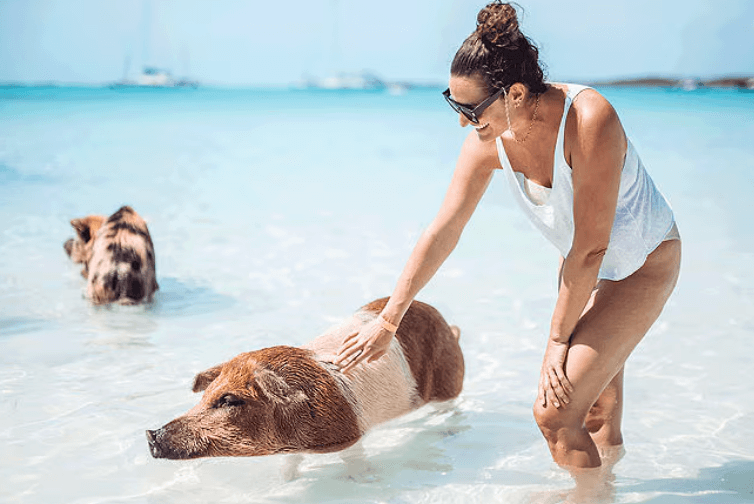 Cruise Deals for Summer 2025 - bahamas